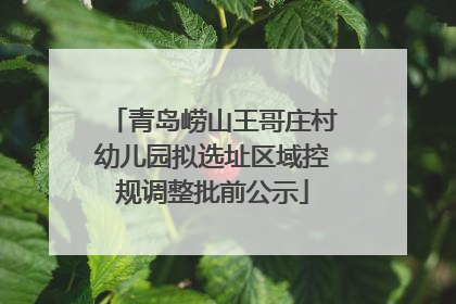 青岛崂山王哥庄村幼儿园拟选址区域控规调整批前公示
