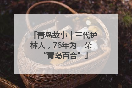 青岛故事｜三代护林人，76年为一朵“青岛百合”