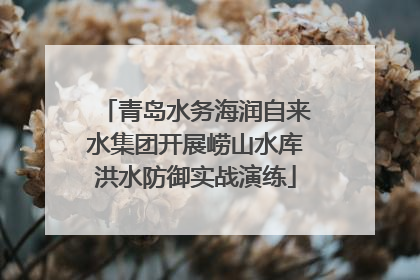 青岛水务海润自来水集团开展崂山水库洪水防御实战演练
