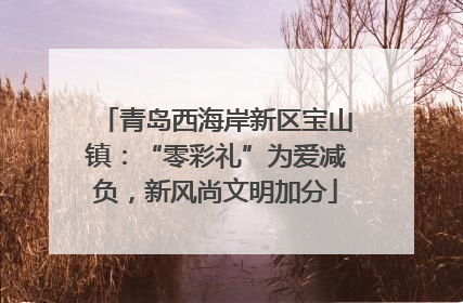 青岛西海岸新区宝山镇：“零彩礼”为爱减负，新风尚文明加分