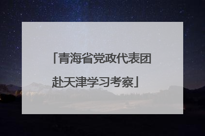 青海省党政代表团赴天津学习考察