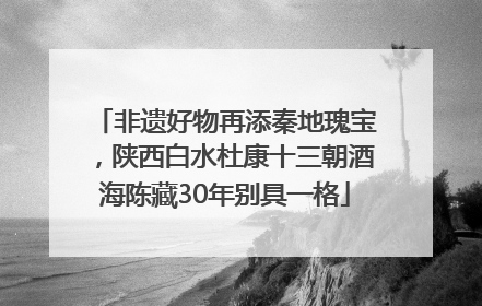 非遗好物再添秦地瑰宝，陕西白水杜康十三朝酒海陈藏30年别具一格