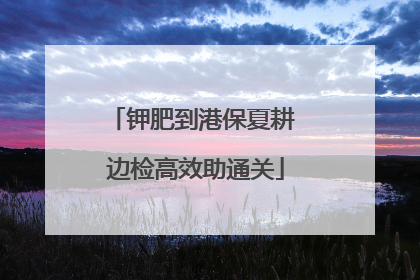 钾肥到港保夏耕 边检高效助通关