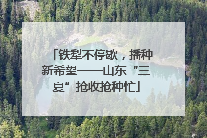 铁犁不停歇，播种新希望——山东“三夏”抢收抢种忙
