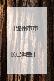 锦州市市长已调整