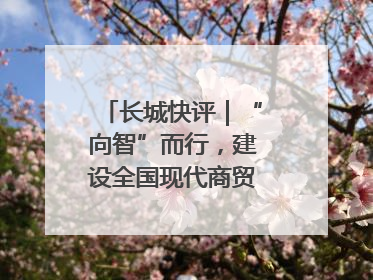 长城快评｜“向智”而行，建设全国现代商贸物流重要基地