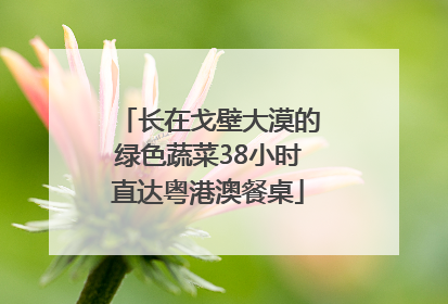 长在戈壁大漠的绿色蔬菜38小时直达粤港澳餐桌