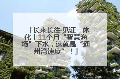 长来长往·见证一体化丨11个月“智慧渔场”下水，这就是“通州湾速度”！