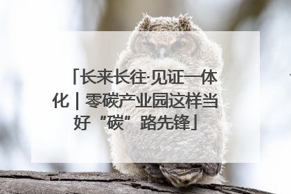 长来长往·见证一体化｜零碳产业园这样当好“碳”路先锋