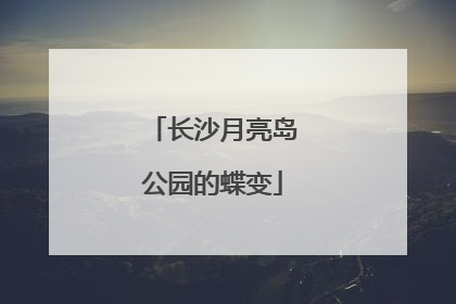 长沙月亮岛公园的蝶变