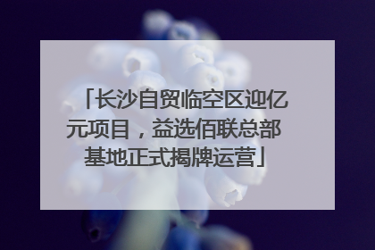 长沙自贸临空区迎亿元项目，益选佰联总部基地正式揭牌运营