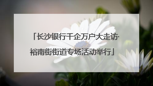 长沙银行千企万户大走访·裕南街街道专场活动举行
