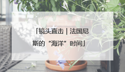 镜头直击｜法国尼斯的“海洋”时间