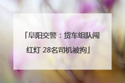 阜阳交警：货车组队闯红灯 28名司机被拘