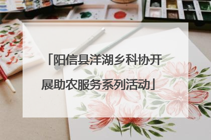 阳信县洋湖乡科协开展助农服务系列活动