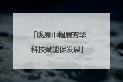 陇原巾帼展芳华 科技赋能促发展