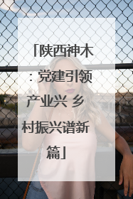 陕西神木：党建引领产业兴 乡村振兴谱新篇