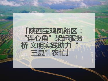陕西宝鸡凤翔区：“连心角”架起服务桥 文明实践助力“三夏”农忙