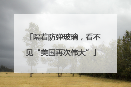 隔着防弹玻璃，看不见“美国再次伟大”