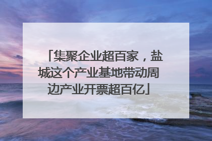 集聚企业超百家，盐城这个产业基地带动周边产业开票超百亿