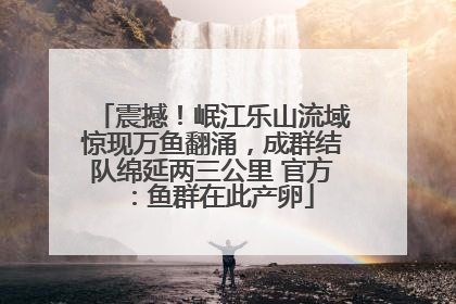 震撼！岷江乐山流域惊现万鱼翻涌，成群结队绵延两三公里 官方：鱼群在此产卵