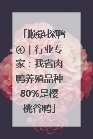 顺链探鸭④｜行业专家：我省肉鸭养殖品种80%是樱桃谷鸭