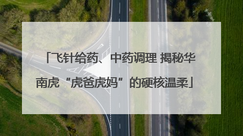 飞针给药、中药调理 揭秘华南虎“虎爸虎妈”的硬核温柔