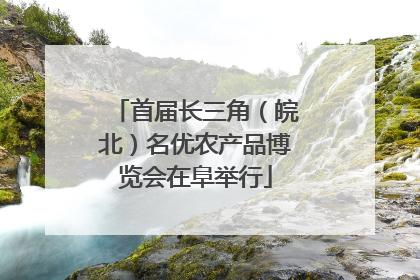 首届长三角（皖北）名优农产品博览会在阜举行
