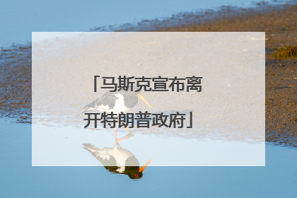 马斯克宣布离开特朗普政府