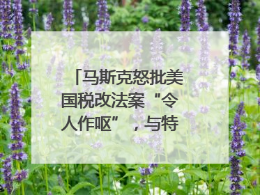 马斯克怒批美国税改法案“令人作呕”，与特朗普早生嫌隙？｜国际识局