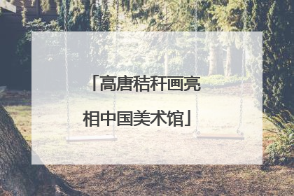 高唐秸秆画亮相中国美术馆