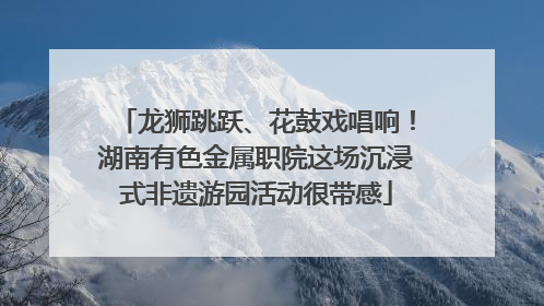 龙狮跳跃、花鼓戏唱响！湖南有色金属职院这场沉浸式非遗游园活动很带感