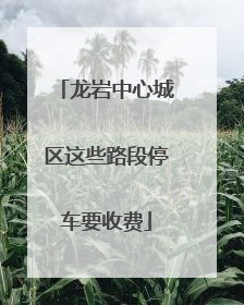 龙岩中心城区这些路段停车要收费