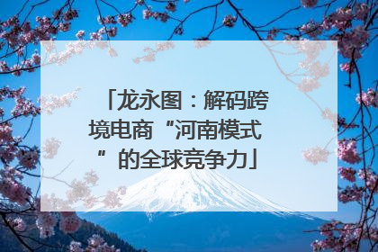 龙永图：解码跨境电商“河南模式”的全球竞争力