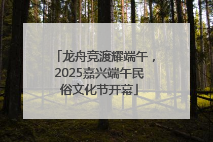 龙舟竞渡耀端午，2025嘉兴端午民俗文化节开幕