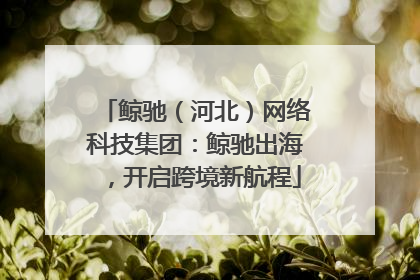 鲸驰（河北）网络科技集团：鲸驰出海，开启跨境新航程