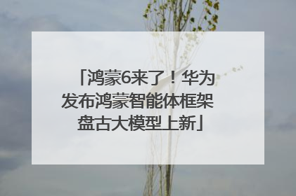 鸿蒙6来了！华为发布鸿蒙智能体框架 盘古大模型上新