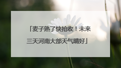 麦子熟了快抢收！未来三天河南大部天气晴好