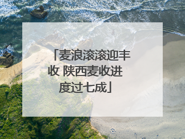 麦浪滚滚迎丰收 陕西麦收进度过七成