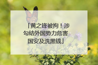 黄之锋被拘！涉勾结外国势力危害国安及洗黑钱
