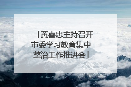 黄喜忠主持召开市委学习教育集中整治工作推进会