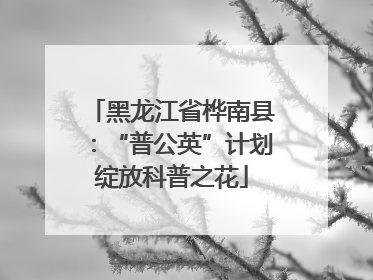 黑龙江省桦南县：“普公英”计划绽放科普之花