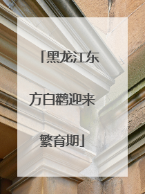 黑龙江东方白鹳迎来繁育期