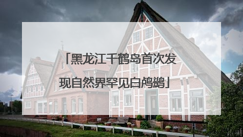 黑龙江千鹤岛首次发现自然界罕见白鸬鹚