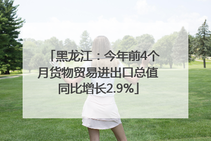 黑龙江：今年前4个月货物贸易进出口总值同比增长2.9%