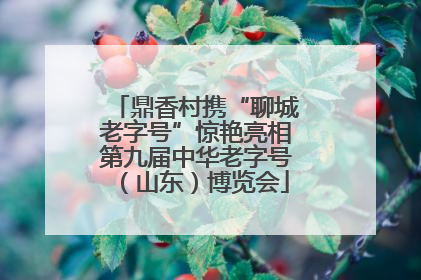鼎香村携“聊城老字号”惊艳亮相第九届中华老字号（山东）博览会