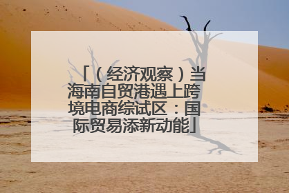 （经济观察）当海南自贸港遇上跨境电商综试区：国际贸易添新动能