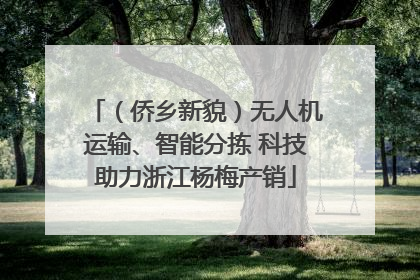（侨乡新貌）无人机运输、智能分拣 科技助力浙江杨梅产销