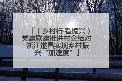 （乡村行·看振兴）党建联建推进村企结对 浙江遂昌实现乡村振兴“加速度”