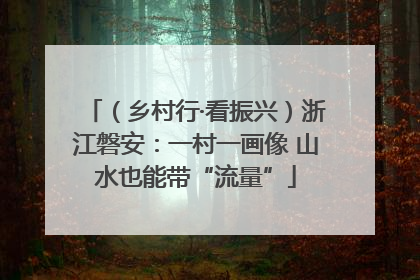 （乡村行·看振兴）浙江磐安：一村一画像 山水也能带“流量”